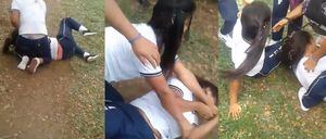 Video: el violento enfrentamiento de dos estudiantes en un parque