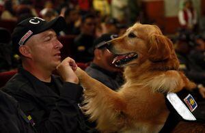 Fiscalía condecora a 14 perros que se jubilan de la entidad