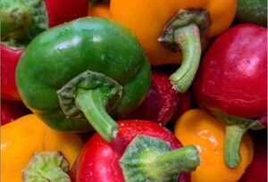 Del huerto a tu casa: opciones de alimentos orgánicos a domicilio en Quito