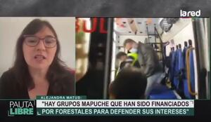 La teoría de Alejandra Matus sobre el ataque a Iván Núñez: "Las Forestales han armado a grupos mapuche"
