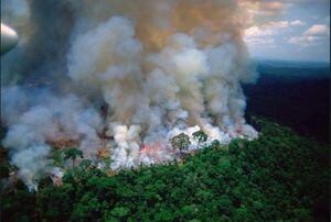 La Amazonía de Brasil lleva 16 días incendiándose