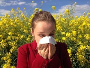 ¡Se acerca la primavera! Toma en cuenta estos consejos para combatir las alergias
