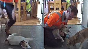 Vídeo impactante de jovem salvando seu cachorro de engasgamento faz sucesso nas redes sociais