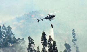 Alerta roja en Ancud: incendio forestal consume 250 hectáreas de vegetación