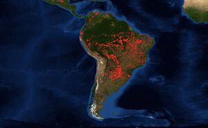 500 mil hectáreas en 16 días: la impresionante imagen satelital de los devastadores incendios forestales que consumen el Amazonas