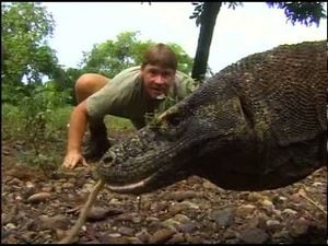 Steve Irwin, el “cazador de cocodrilos” que murió desangrado por el ataque de una raya