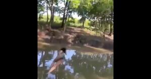 Vídeo misterioso de jovem pulando em rio com 'fenômeno estranho' intriga usuários nas redes sociais