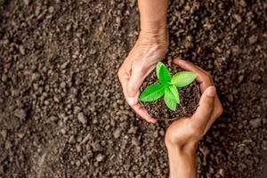 Fondo de Protección Ambiental: cómo y dónde postular