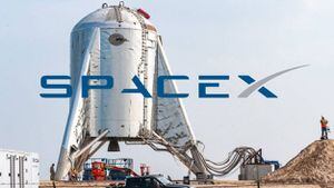 Cohete Starhopper de SpaceX logra su primer vuelo sin incendiarse