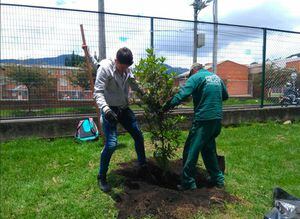 ¡Agéndese! Más de 900 árboles serán plantados en Bogotá