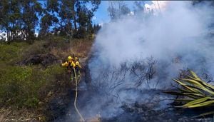 Video: Registran incendio forestal en Carcelén, Quito