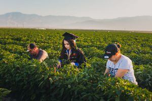 FOTOS. Celebra su graduación en el campo donde trabajan sus padres inmigrantes