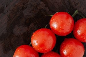 A dica para reduzir a acidez do molho de tomate e conquistar um sabor delicioso