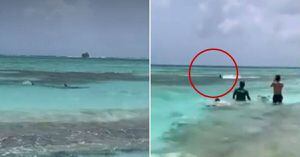 (VIDEO) Enorme tiburón muy cerca de bañistas fue captado en playa colombiana