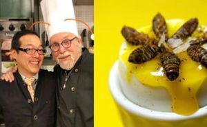 Chef revoluciona la gastronomía con insectos