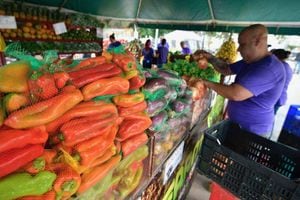 Llega a la Isla Nena mercado familiar de alimentos cosechados en Puerto Rico