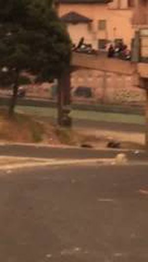 Quito: Policía Nacional se pronuncia sobre video que muestra caída de dos jóvenes del puente en San Roque