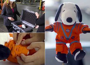 Snoopy se unirá a la misión lunar Artemis I de la NASA con un traje especial