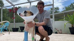 Ex-sargento luta contra jacaré de mais de 4 metros para salvar cachorrinho de estimação