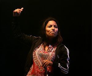 "Sus habitantes merecen respeto": La indignación de Taltal con Ana Tijoux por polémica frase de la cantante