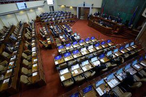 Cámara de Diputados aprueba de forma unánime retiro forzoso de fondos AFP a deudores alimenticios