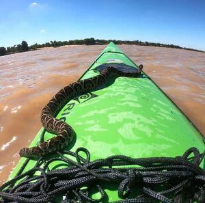 Cobra jararaca assusta ao pegar carona em caiaque no Rio Paraná