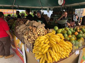 Nuevas fechas de “Mercados Familiares” alrededor de la isla