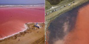 Cerraron el "mar rosado" de Galerazamba al turismo para extracción de sal