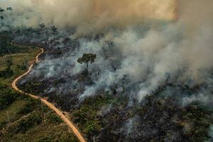 ¿Por qué arde una parte de la Amazonía?