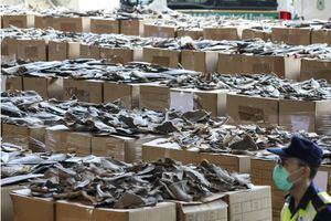 Hong Kong decomisó 26 toneladas de aletas de tiburón provenientes de Ecuador