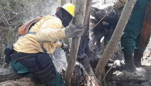 Alerta por incremento de incendios forestales en municipios de Cundinamarca