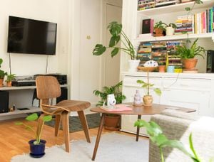 Plantas que pueden sobrevivir en el interior de tu hogar