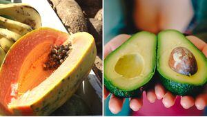 Vitamina de abacate com mamão é ótima para a digestão e para perder medidas