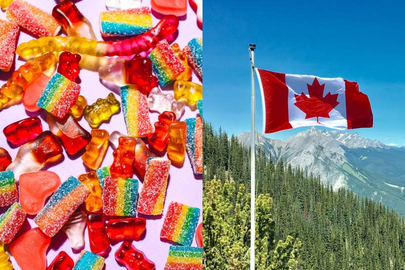 Una empresa canadiense paga 78 mil dólares al año por comer dulce