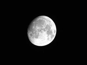 El ambiente se llenará de dulzura y armonía con la Luna en Libra
