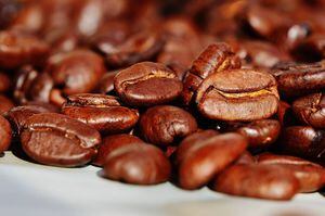 Voluntarios sembrarán café en Adjuntas
