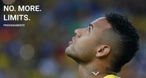 Así será Sportflix: el Netflix que transmitirá el "95% de los eventos deportivos del mundo"