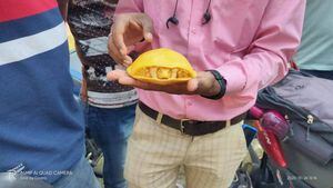 Sorprendente hallazgo de tortuga amarilla en India: es la segunda encontrada este año