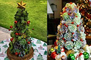 Árboles de Navidad con suculentas, la tendencia que vas a amar y puedes hacer tú misma