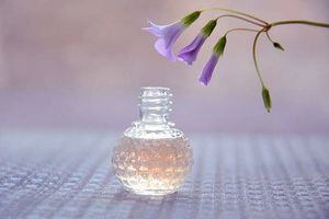 Conoce cuál es perfume ideal para los signos de Agua