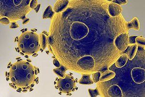 Cinco cosas que todavía se ignoran sobre el coronavirus