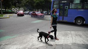 Quito no puede volver a un confinamiento, según Cámara de Comercio