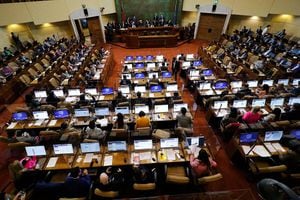 Cámara de Diputados defenderá ante el Tribunal Constitucional el segundo retiro del 10%