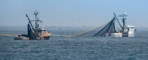 ¿Se acerca la mega flota pesquera china? EEUU denuncia que está frente a Perú