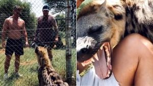 Vídeo viral mostra 'instinto assassino' de hiena ao encontrar com dois homens