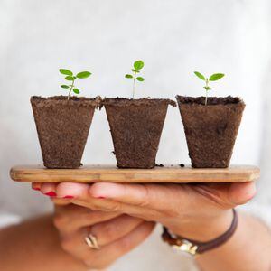 Orientan sobre la importancia de conectar con la naturaleza