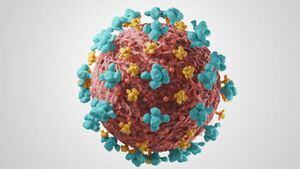Coronavirus no fue creado por el hombre: logran determinar origen natural del virus