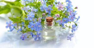Con estos aromas debes llenar las diferentes áreas de tu casa para una armonía perfecta