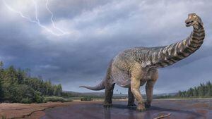 Descubren en Australia una nueva especie de dinosaurio y era realmente gigantesca