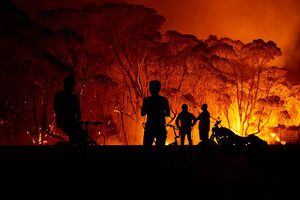 Incendio en Australia: las falsas noticias que circulan en redes sociales